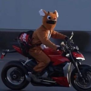 Meet your Posher, Steven